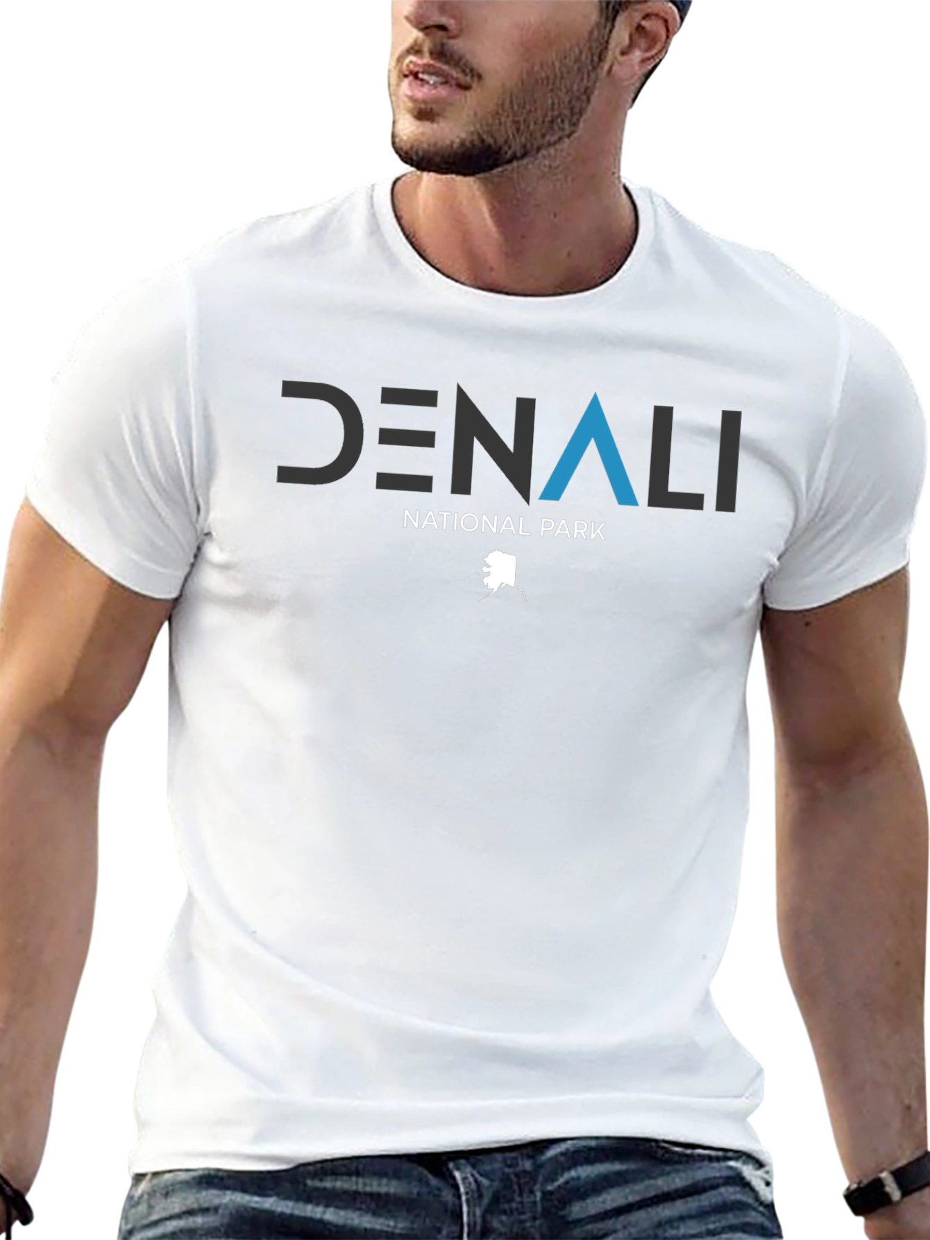 Denali National Park T-Shirt