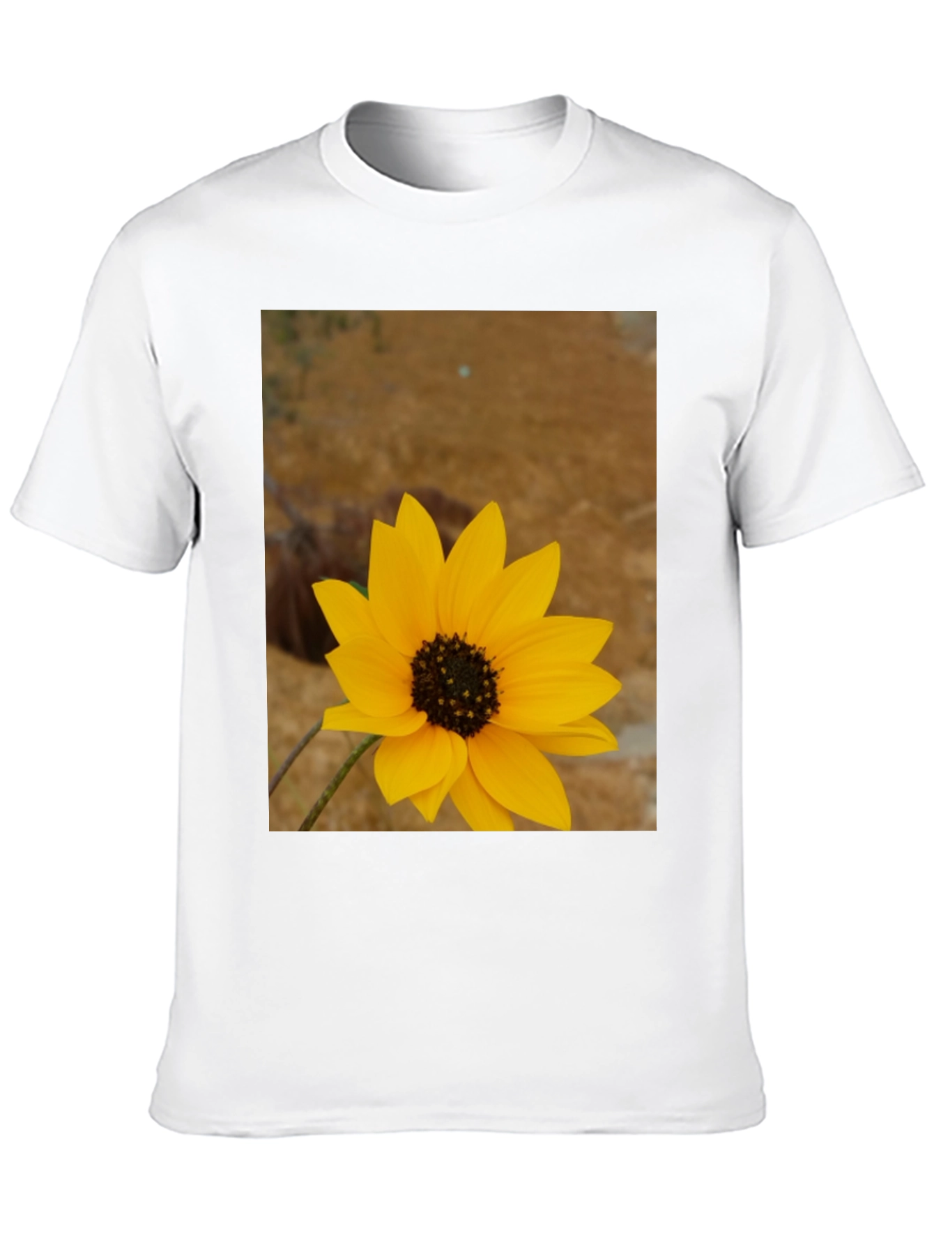 Sunflower Graphic Print Black T-Shirt