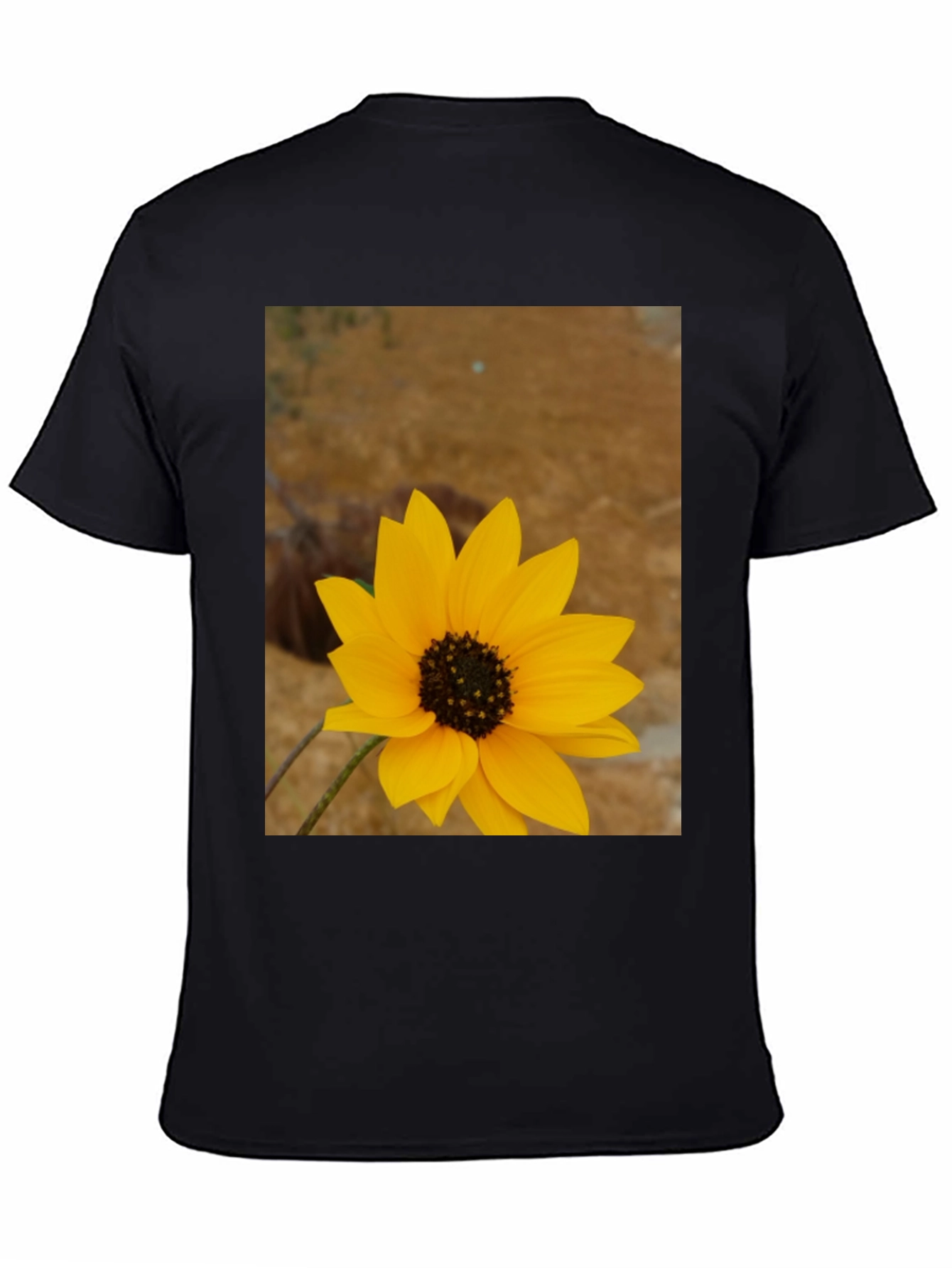 Sunflower Graphic Print Black T-Shirt