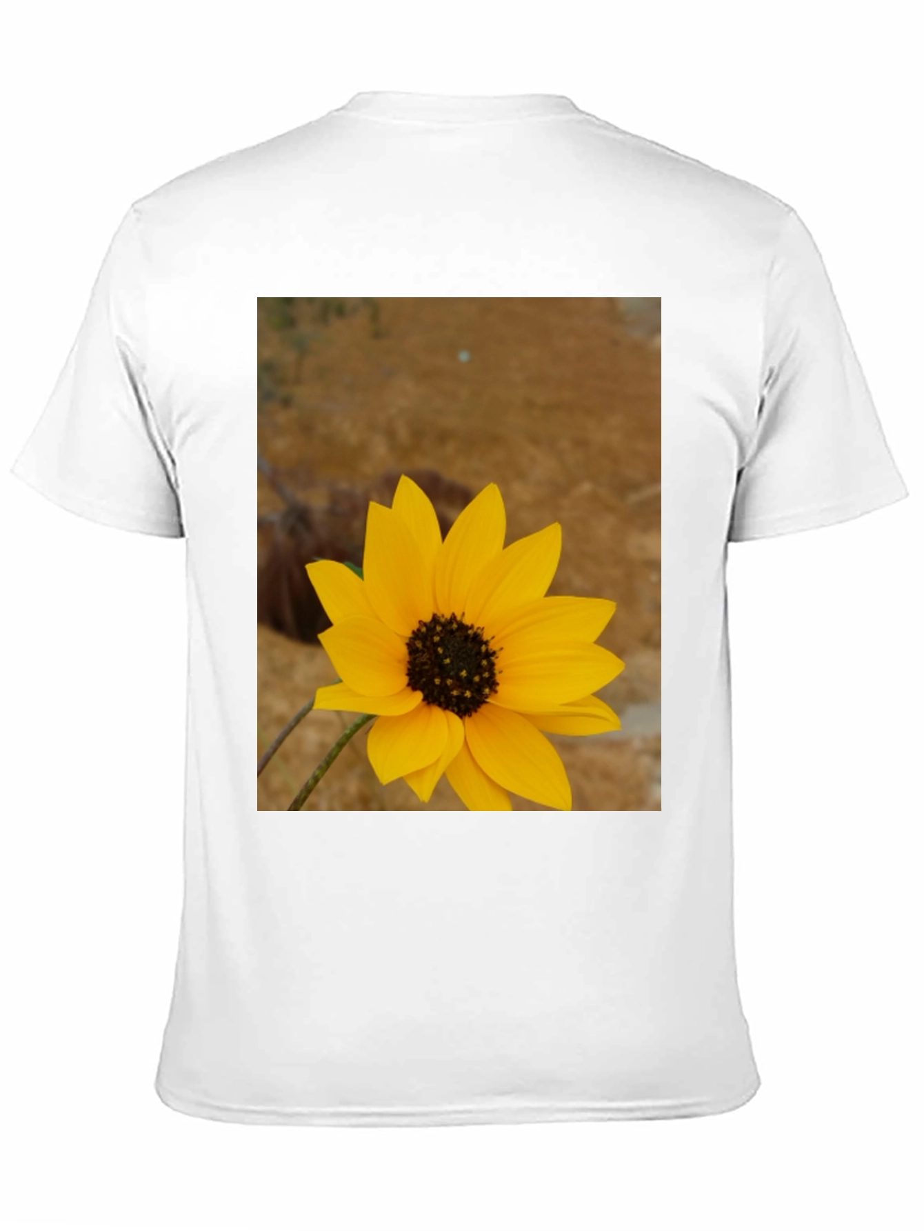 Sunflower Graphic Print Black T-Shirt