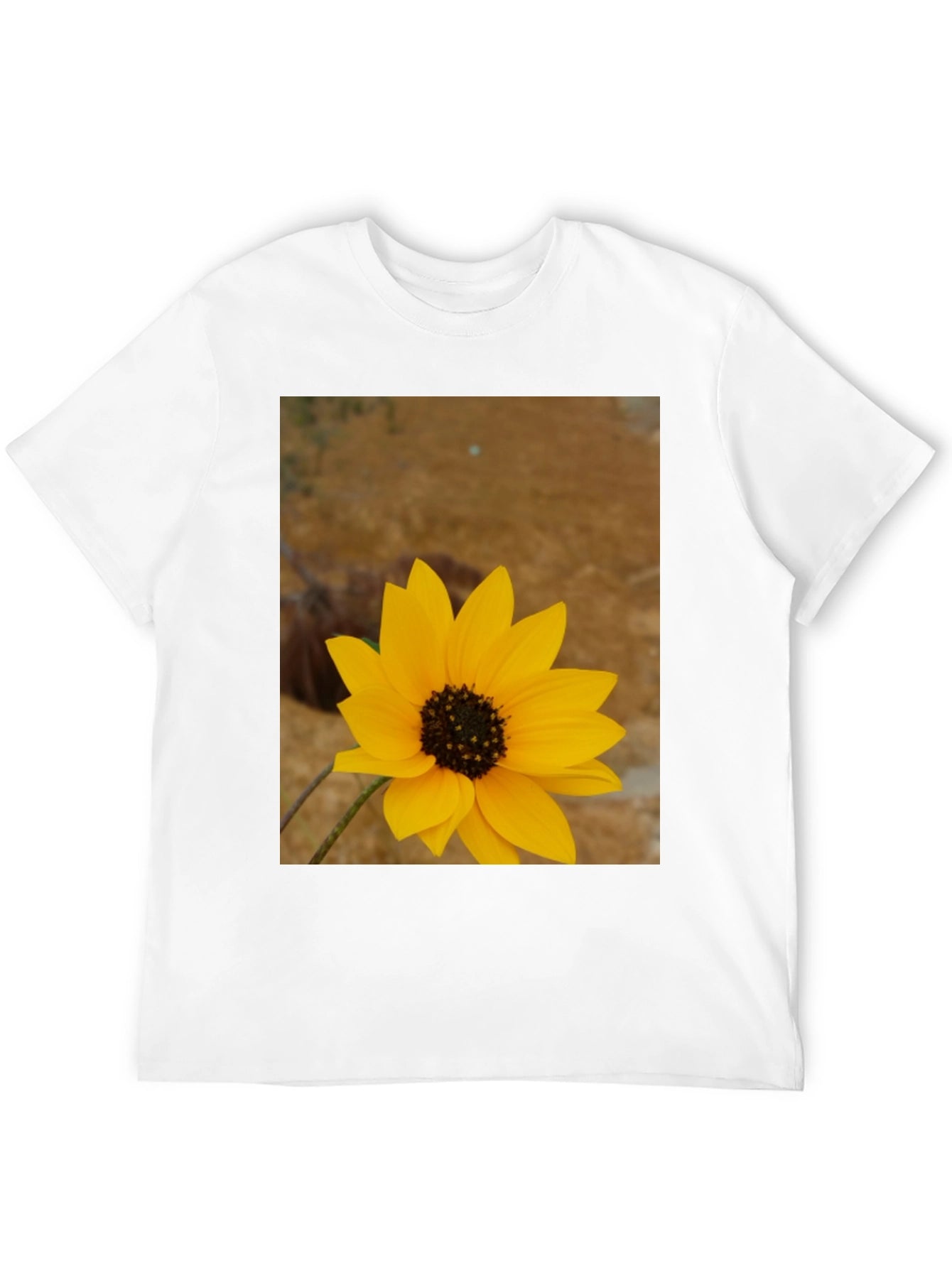 Sunflower Graphic Print Black T-Shirt