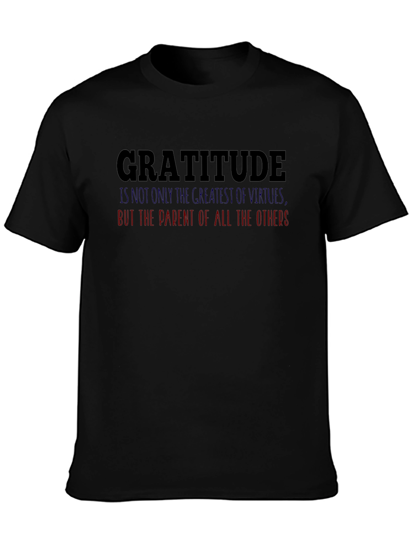 Gratitude Graphic Tee - Motivational T-Shirt