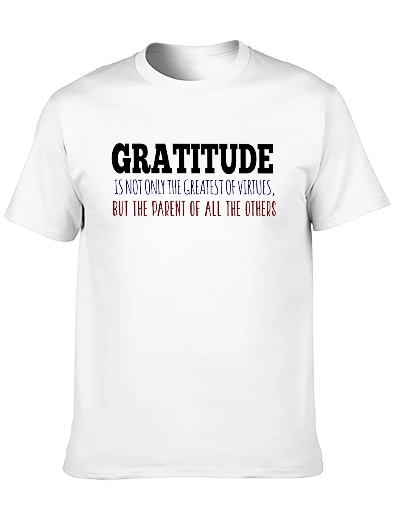 Gratitude Graphic Tee - Motivational T-Shirt