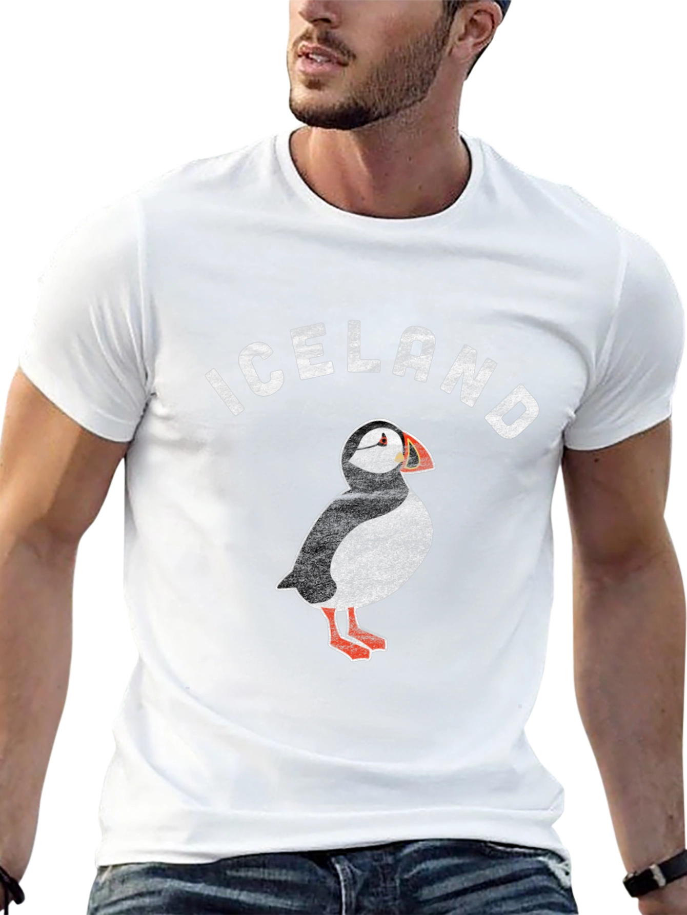 Iceland Puffin Graphic T-Shirt