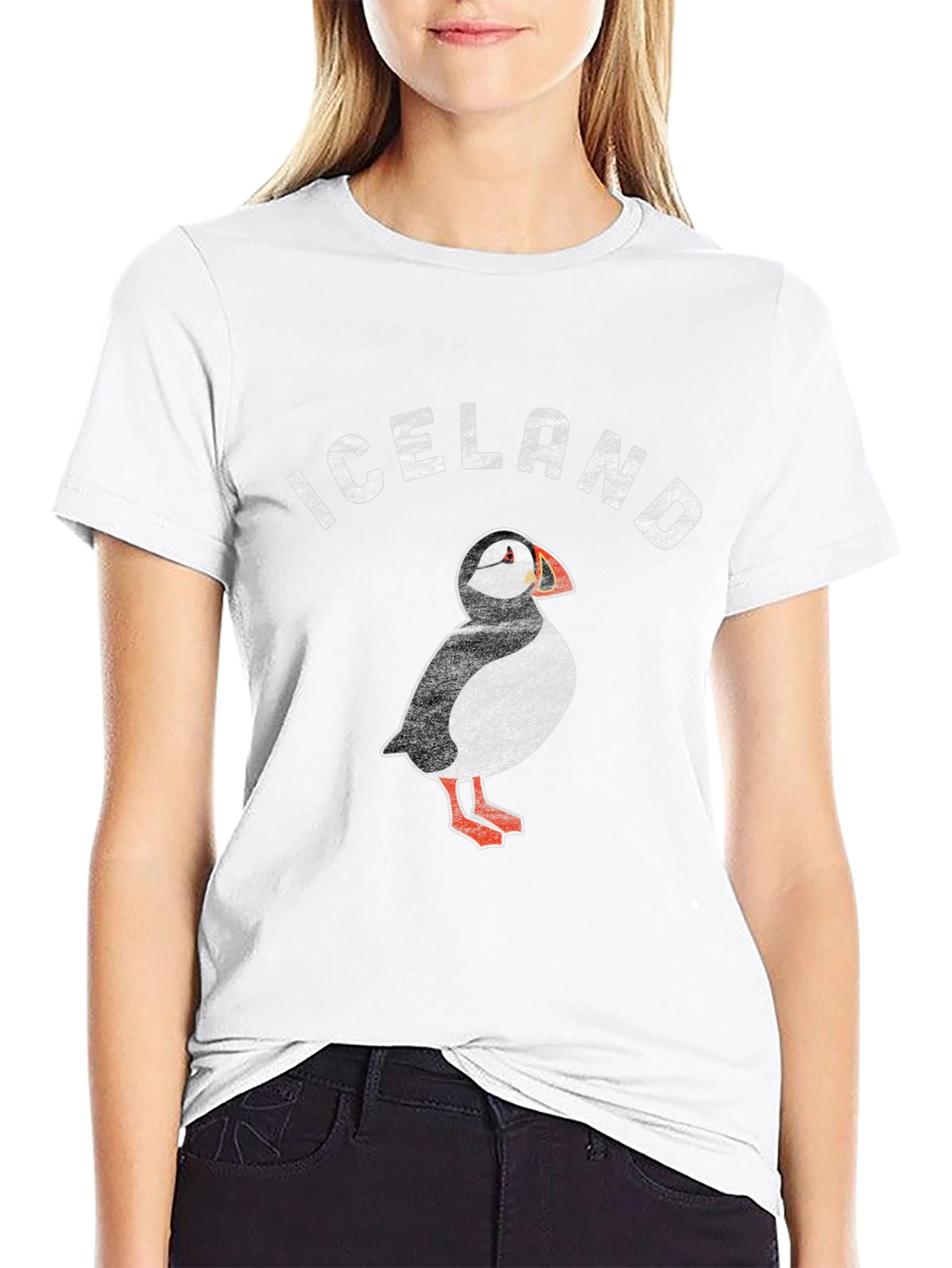 Iceland Puffin Graphic T-Shirt