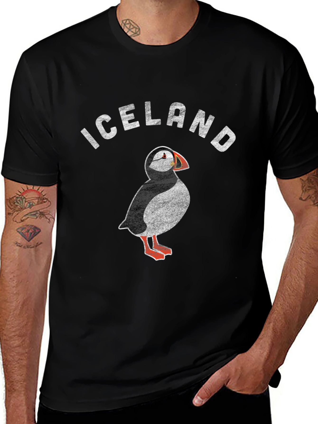 Iceland Puffin Graphic T-Shirt