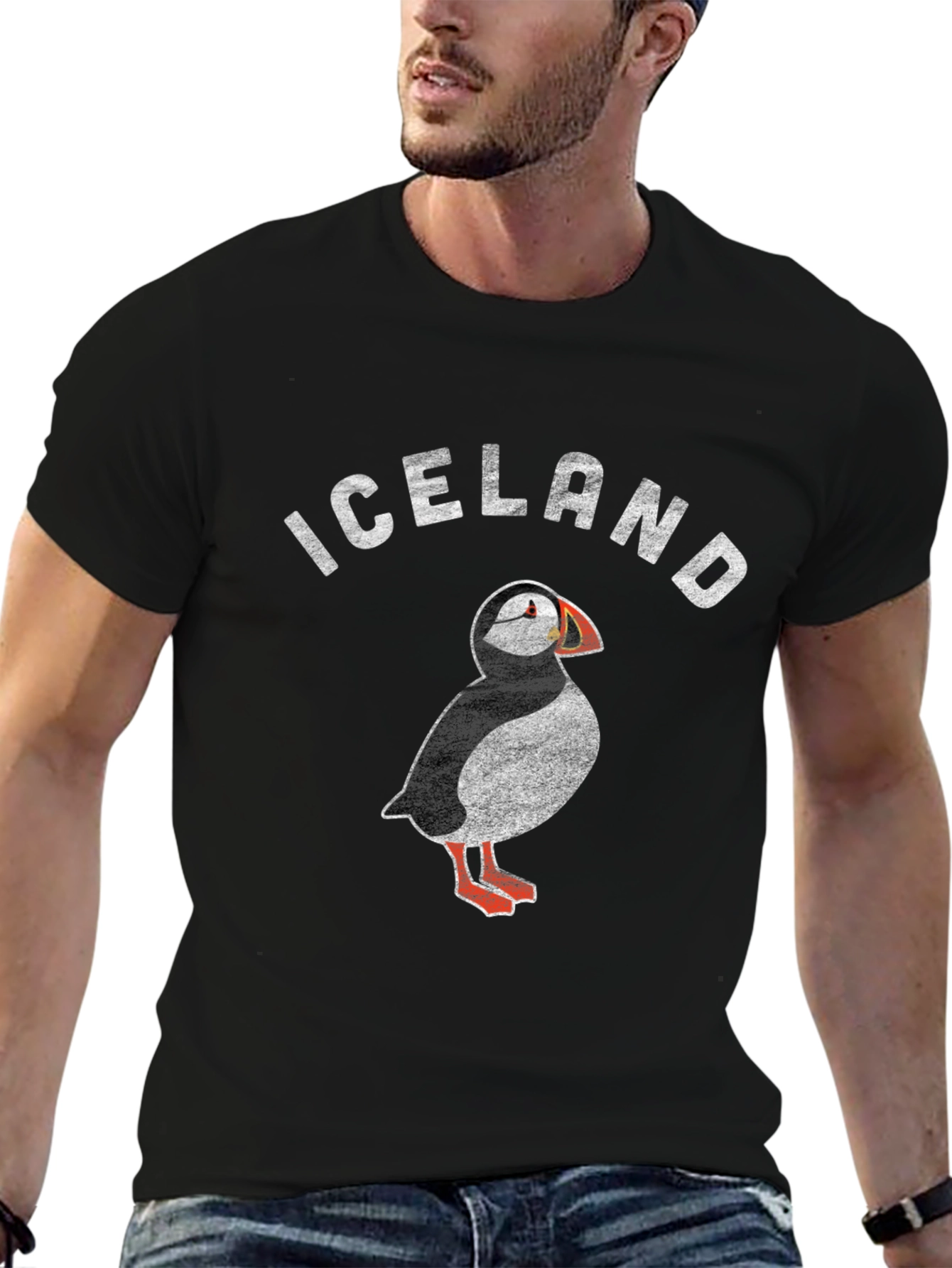 Iceland Puffin Graphic T-Shirt
