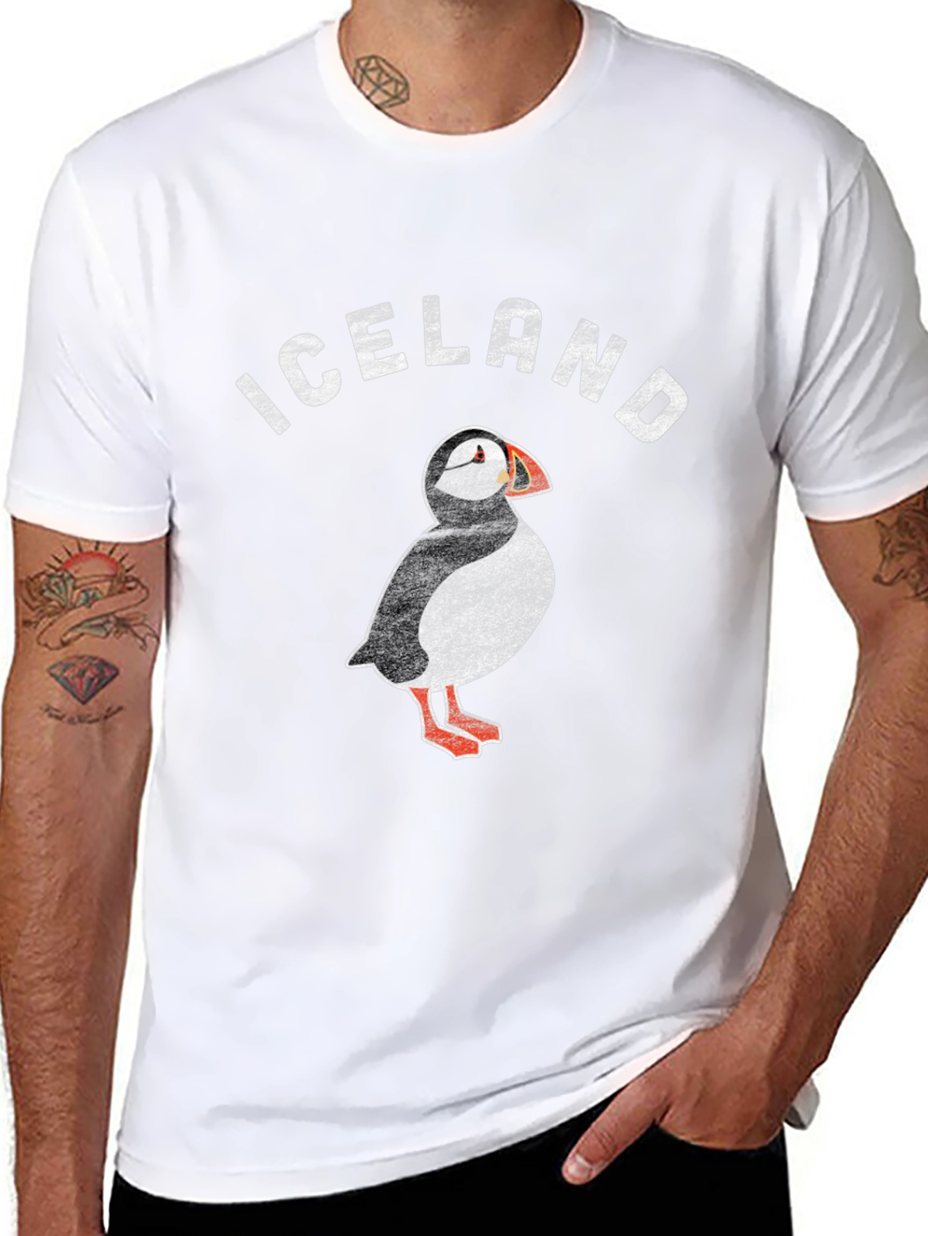 Iceland Puffin Graphic T-Shirt
