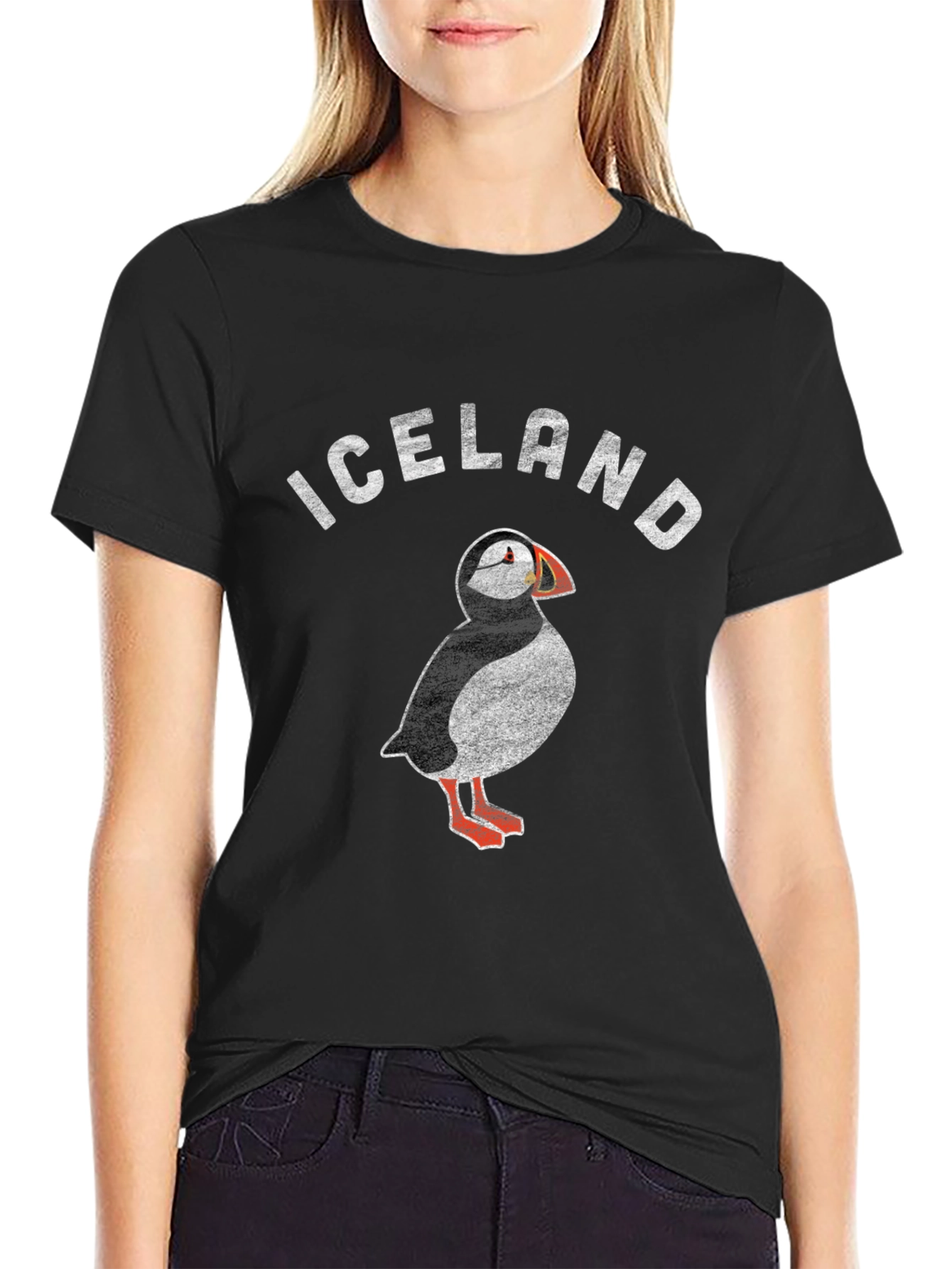 Iceland Puffin Graphic T-Shirt